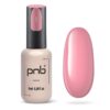 Gel Nail Polish PNB
